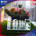 Unique Square Large Acrylic Flower Container Rose Display Box